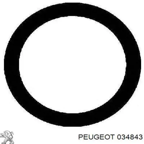 0348 43 Peugeot/Citroen vedante de tubo coletor de admissão