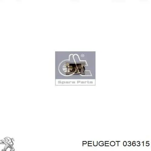 Купить 036315 Peugeot/Citroen Заглушка (решетка) противотуманных фар бампера переднего правая