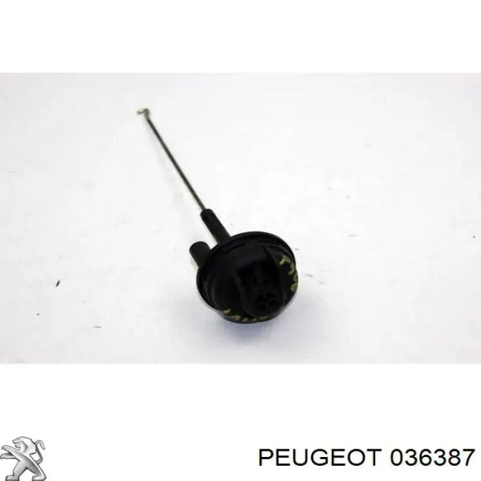 Válvula (atuador) de controlo de turbina Peugeot 406  8B