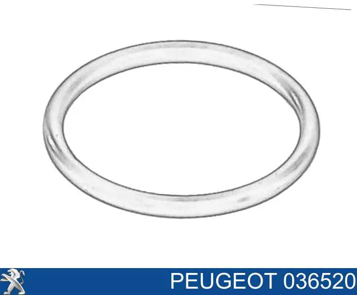 036520 Peugeot/Citroen anel de vedação de cano derivado do radiador