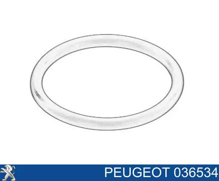 0000036534 Peugeot/Citroen vedante de tubo coletor de admissão