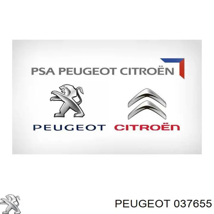 037655 Peugeot/Citroen Болт трубки турбины подачи масла