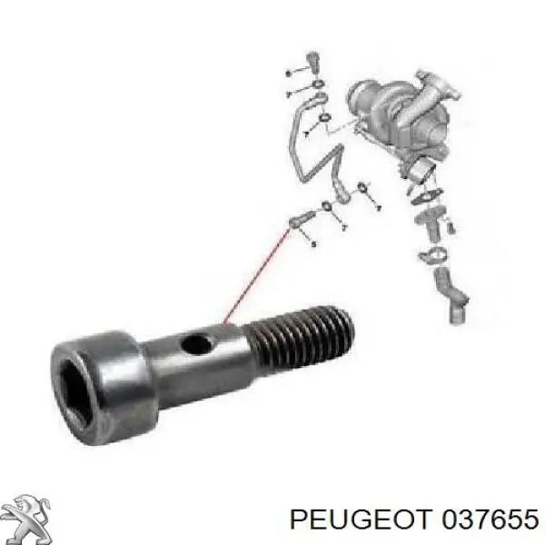 Болт трубки турбины подачи масла Peugeot/Citroen 037655 цена, от 6.23 USD