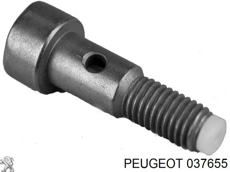 Болт трубки турбины подачи масла 037655 Peugeot/Citroen