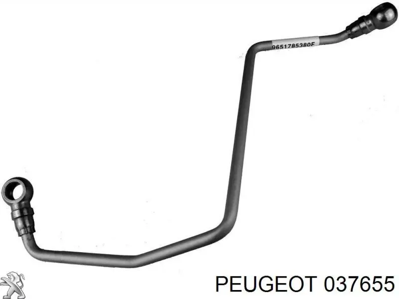 Купить 037655 Peugeot/Citroen Болт трубки турбины подачи масла
