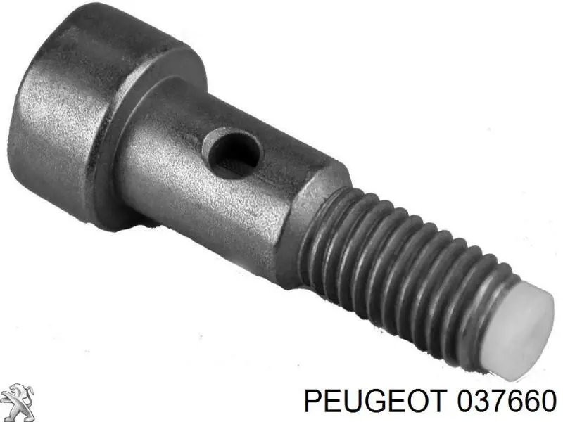 Болт трубки турбины подачи масла Peugeot/Citroen 037660 цена, от 8.28 USD