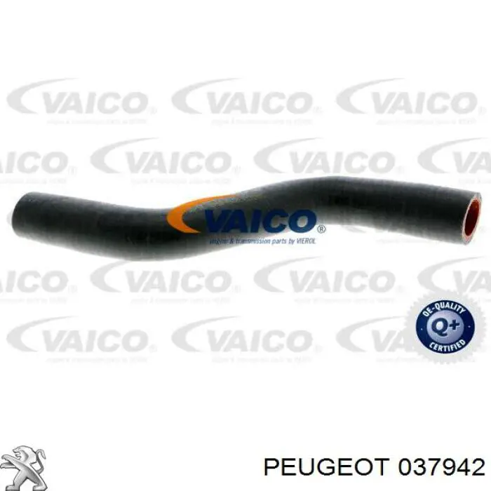 Купить 037942 Peugeot/Citroen Трубка (шланг) отвода масла от турбины