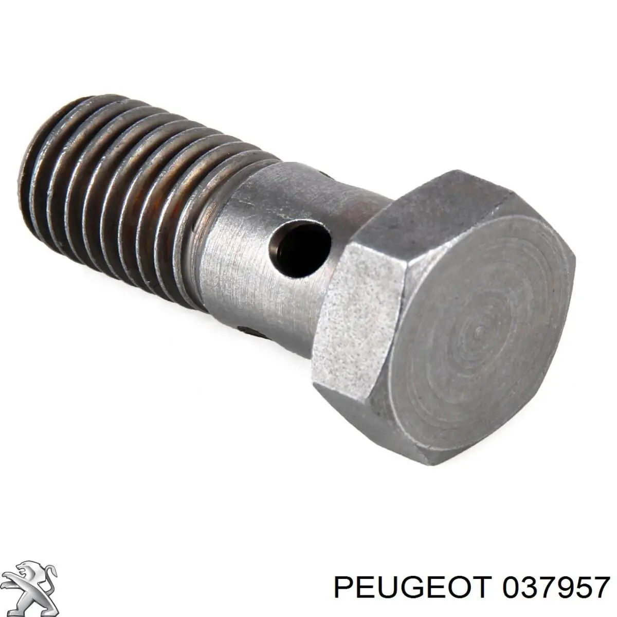 Болт трубки турбины подачи масла Peugeot/Citroen 037957 цена, от 5.42 USD