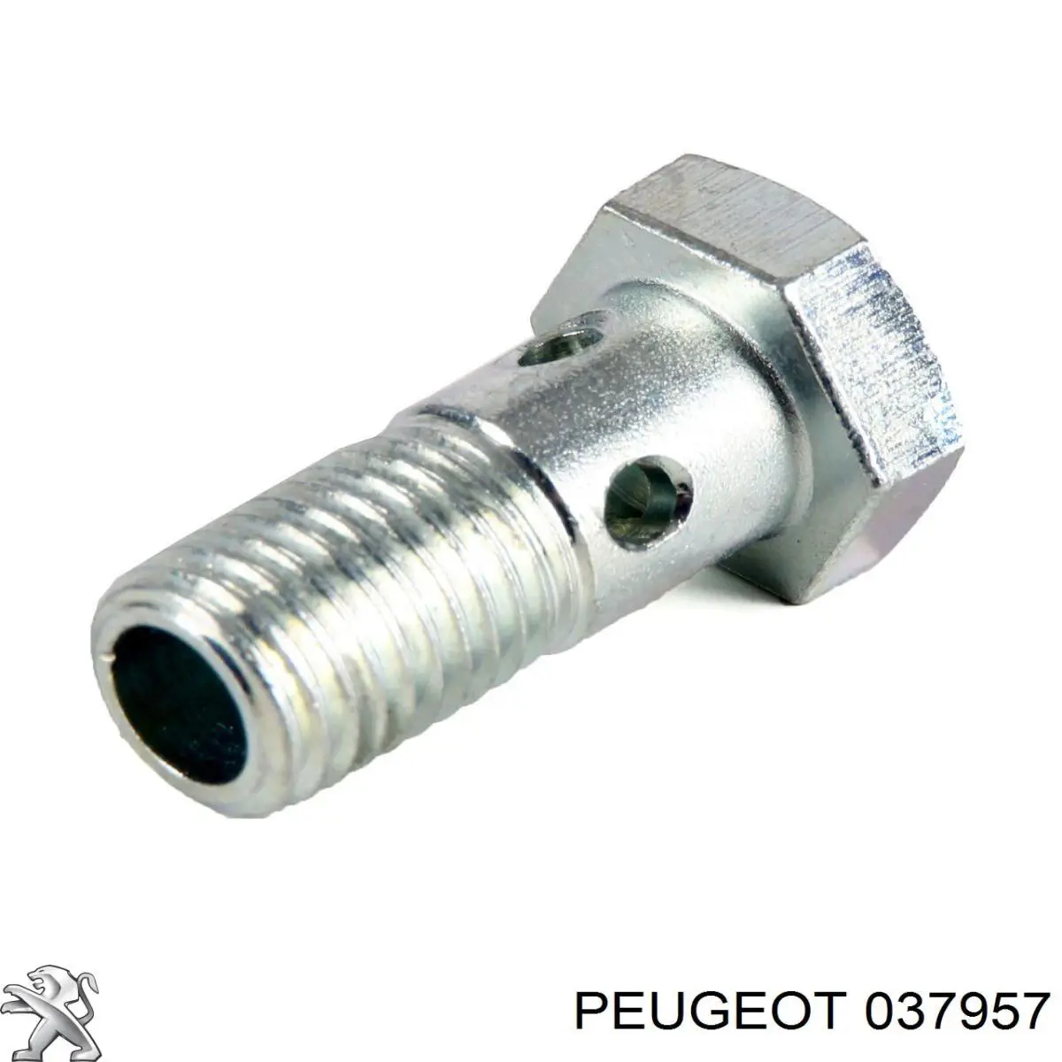 Купить 037957 Peugeot/Citroen Болт трубки турбины подачи масла
