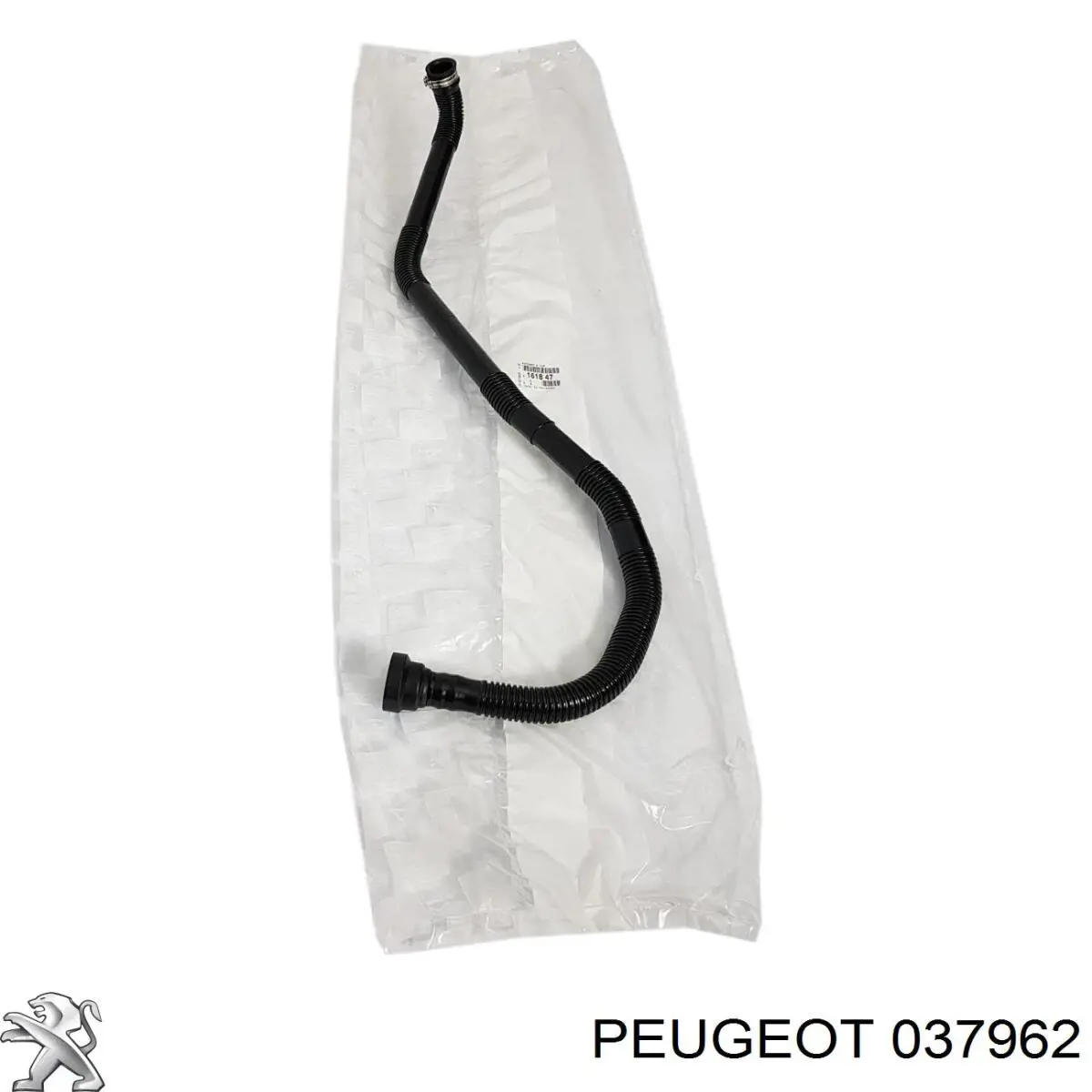 037962 Peugeot/Citroen Подача масляная труба