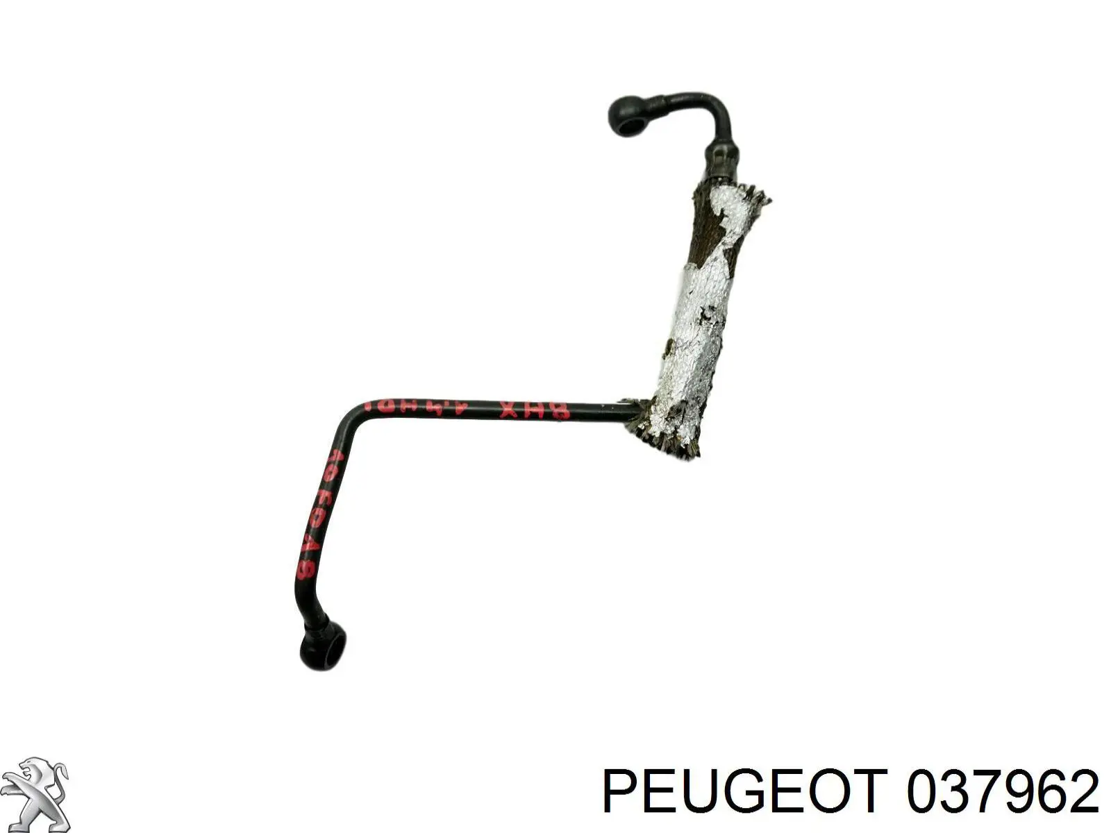 037962 Peugeot/Citroen tubo (mangueira de fornecimento de óleo de turbina)
