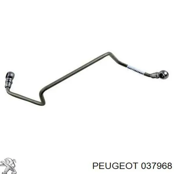037968 Peugeot/Citroen tubo (mangueira de fornecimento de óleo de turbina)