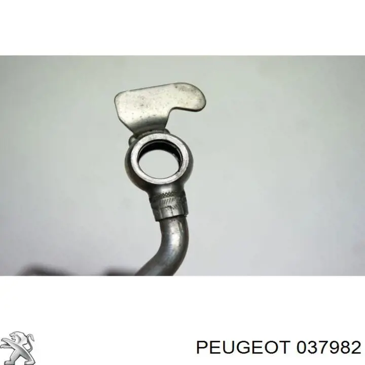 Купить 037982 Peugeot/Citroen Трубка (шланг) подачи масла к турбине