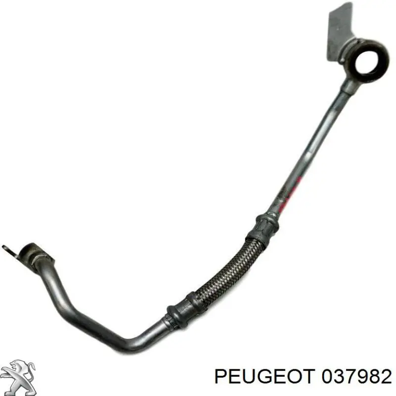 037982 Peugeot/Citroen Подача масляная труба