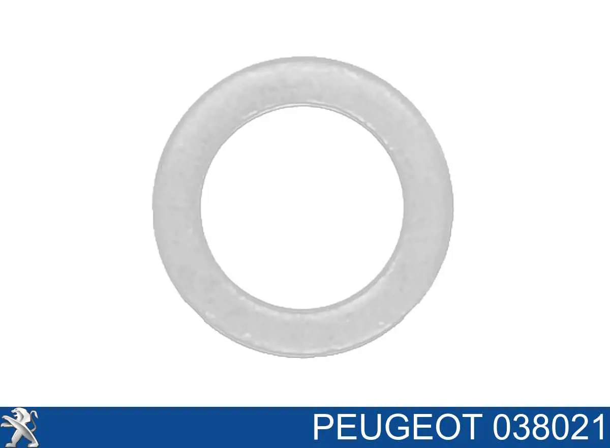 Прокладка шланга подачи масла к турбине на Peugeot 806 221