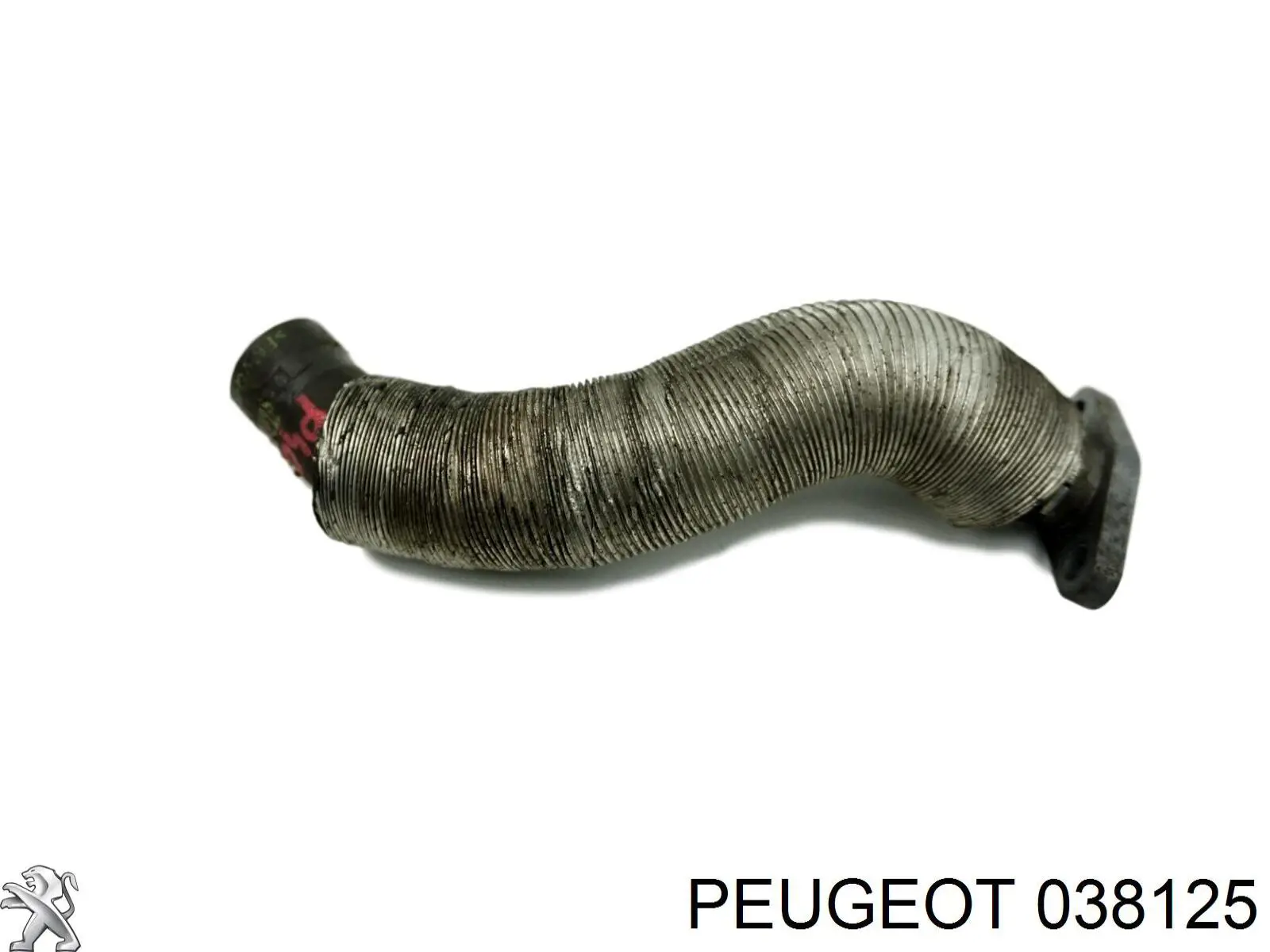 038125 Peugeot/Citroen трубка (шланг отвода масла от турбины)