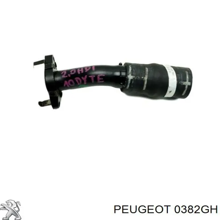 0382GH Peugeot/Citroen 