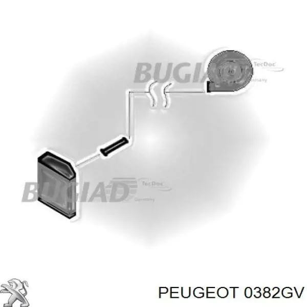 0382GV Peugeot/Citroen mangueira (cano derivado direita de intercooler)