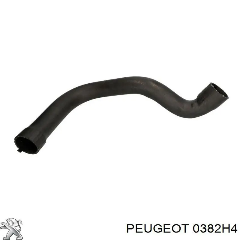 Tubo flexible de aire de sobrealimentación superior derecho 0382H4 Peugeot/Citroen