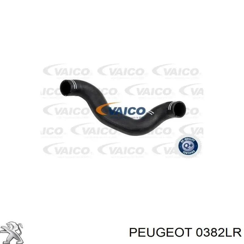Tubo flexible de aire de sobrealimentación superior derecho 0382LR Peugeot/Citroen