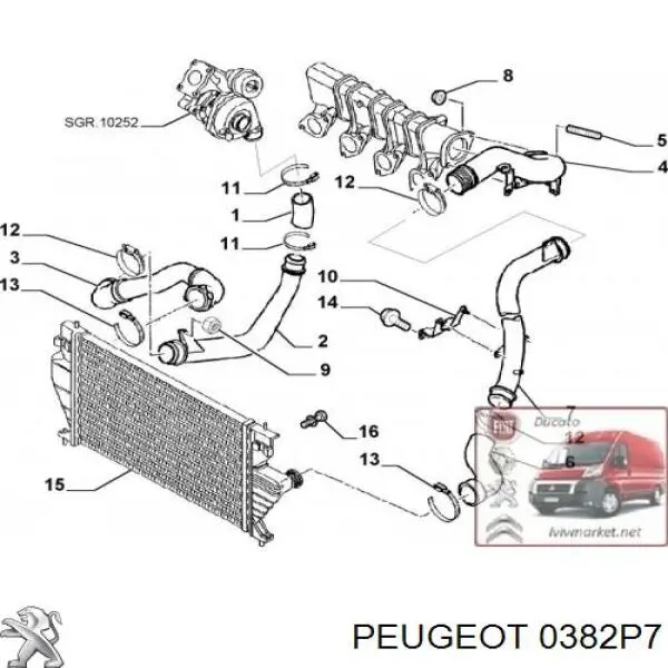 0382P7 Peugeot/Citroen mangueira (cano derivado de intercooler)