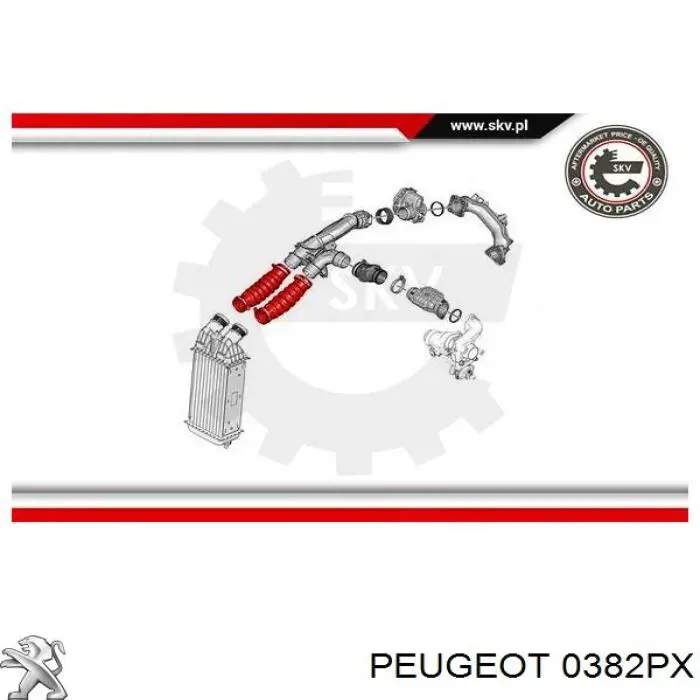 Tubo flexible de aire de sobrealimentación 0382PX Peugeot/Citroen