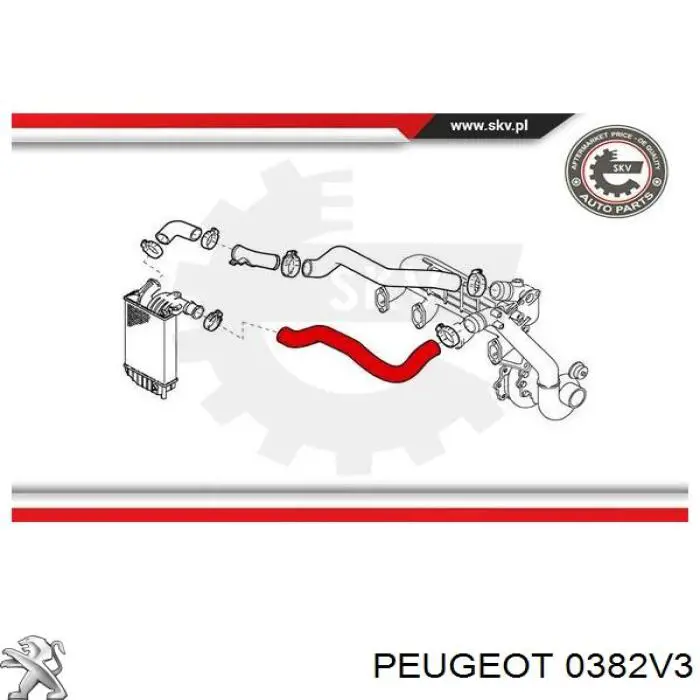 Купить 0382V3 Peugeot/Citroen Патрубок интеркулера