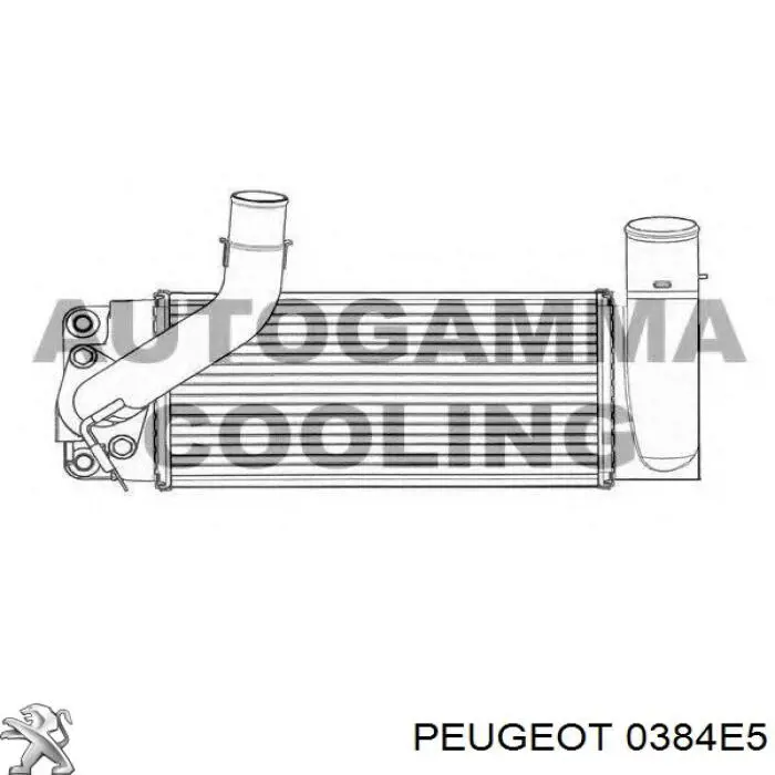 0384C9 Peugeot/Citroen Охладитель наддувочного воздуха