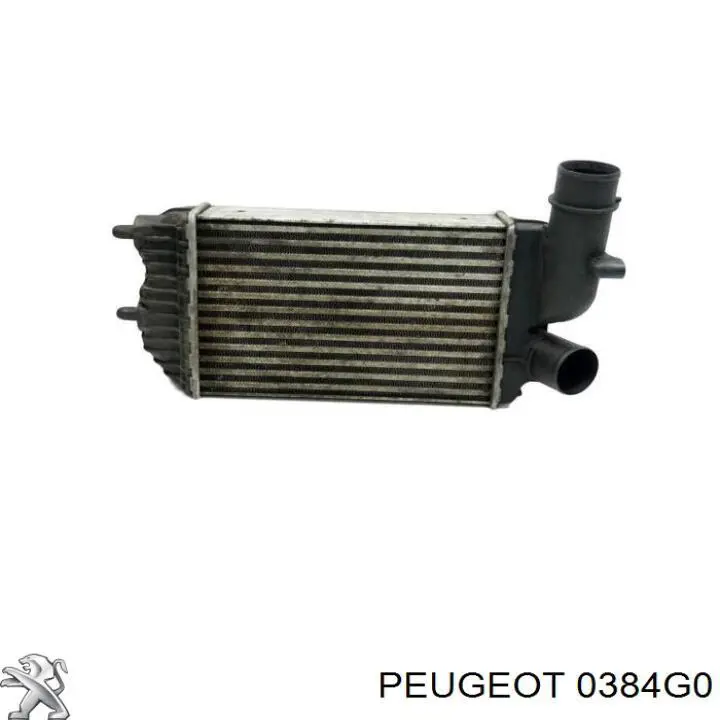 0384G0 Peugeot/Citroen интеркулер