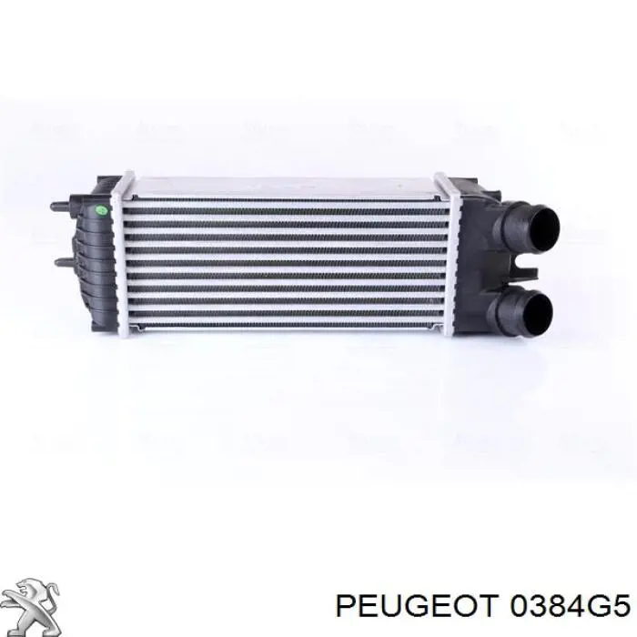 Radiador de intercooler 0384G5 Peugeot/Citroen