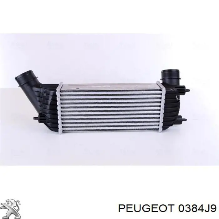 0384J9 Peugeot/Citroen интеркулер