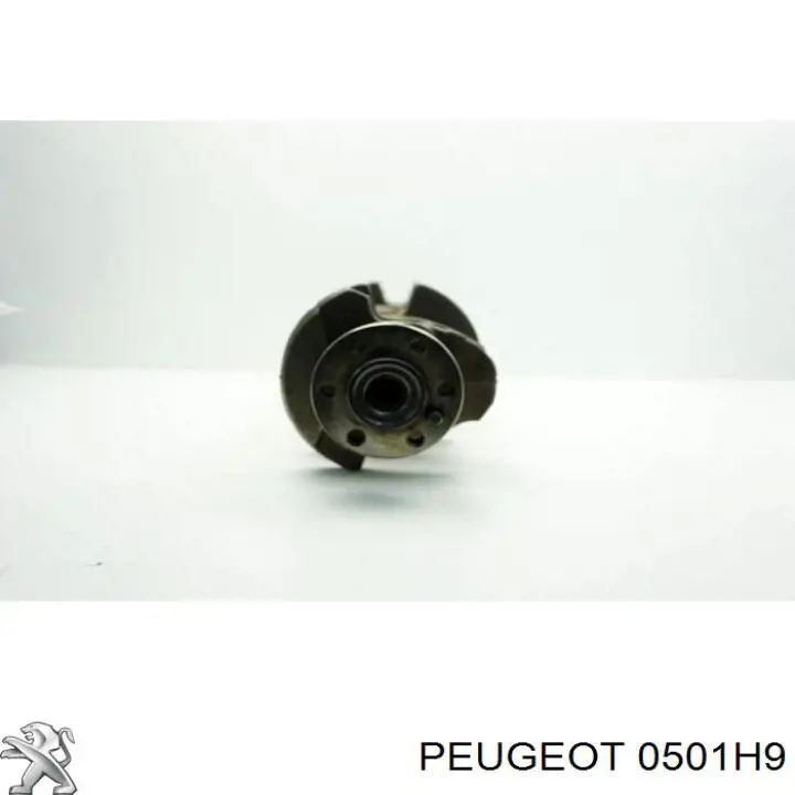 Коленчатый вал Peugeot/Citroen 0501H9