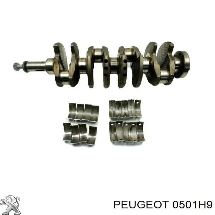 Коленвал двигателя 0501H9 Peugeot/Citroen