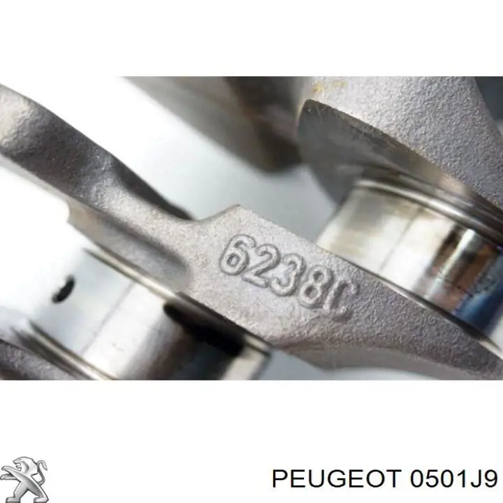 Коленчатый вал Peugeot/Citroen 0501J9