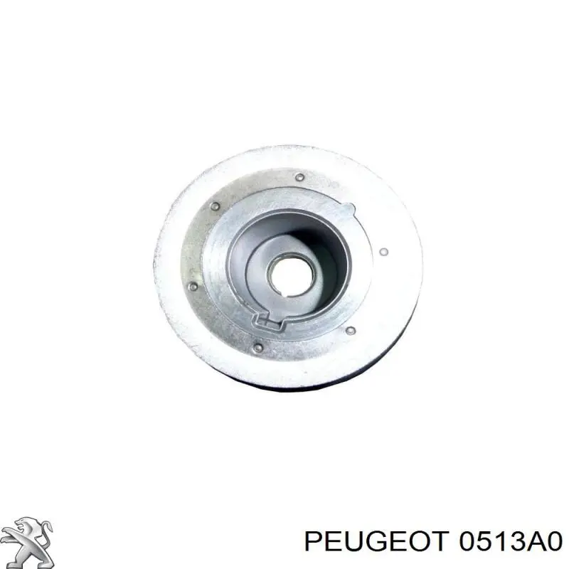 0513A0 Peugeot/Citroen Звезда коленчатого вала