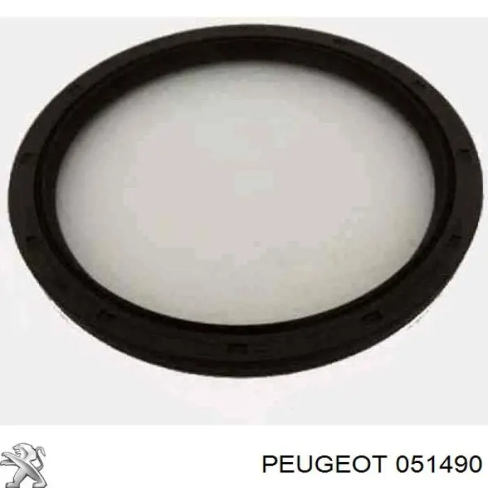 051490 Peugeot/Citroen Комплект прокладок двигателя, нижний