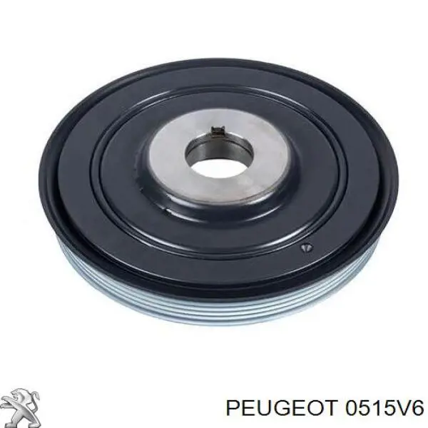 0515V6 Peugeot/Citroen polia de cambota