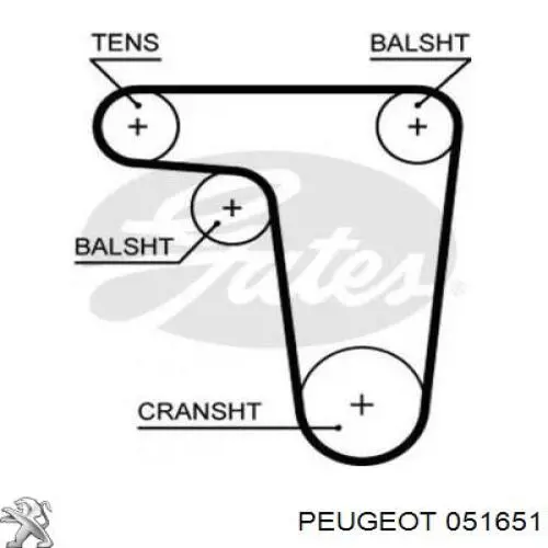 051651 Peugeot/Citroen Ремень двигателя