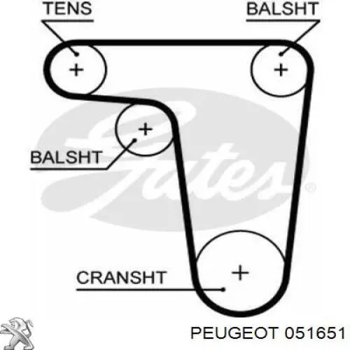 Ремень ГРМ 5618XS Gates