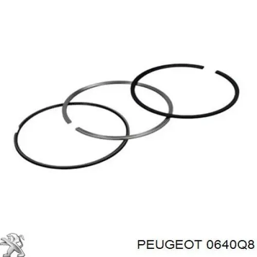 0640Q8 Peugeot/Citroen кольца поршневые на 1 цилиндр, std.