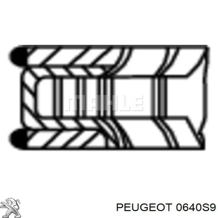 0640T2 Peugeot/Citroen кольца поршневые на 1 цилиндр, std.