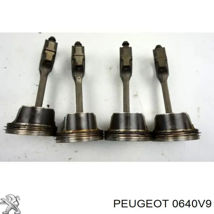 0640V9 Peugeot/Citroen Комплект поршневых колец, STD