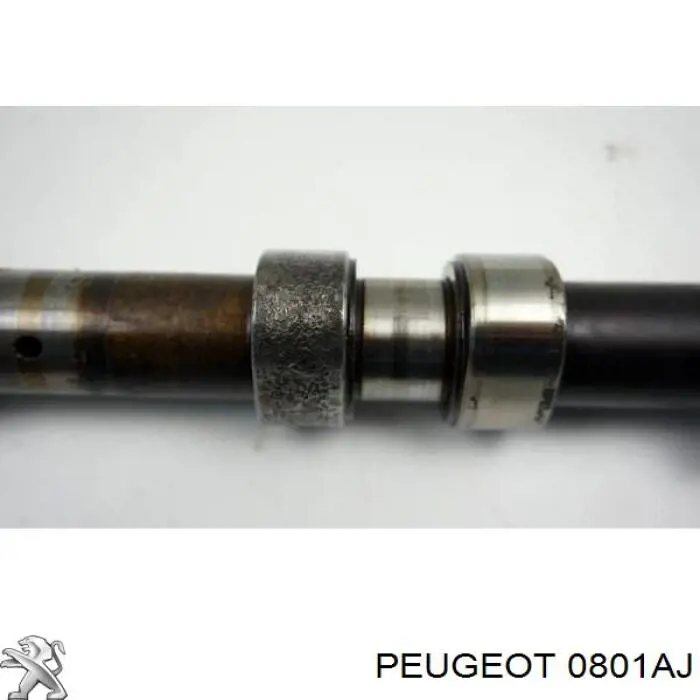 Распредвал двигателя впускной Freccia CM052284 цена, от 149.01 USD