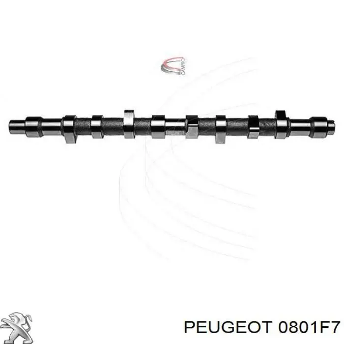 Árbol de levas 0801F7 Peugeot/Citroen