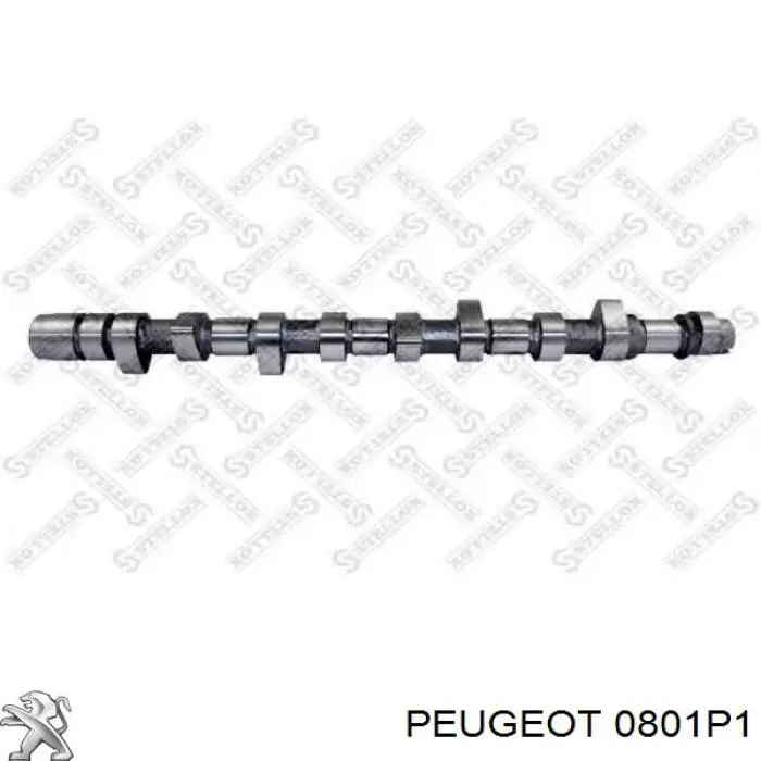 Árbol de levas 0801P1 Peugeot/Citroen