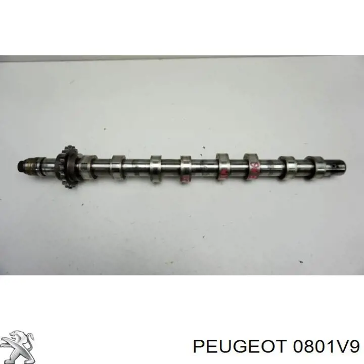 Распредвал двигателя впускной Peugeot/Citroen 0801V9 цена, от 97.44 USD