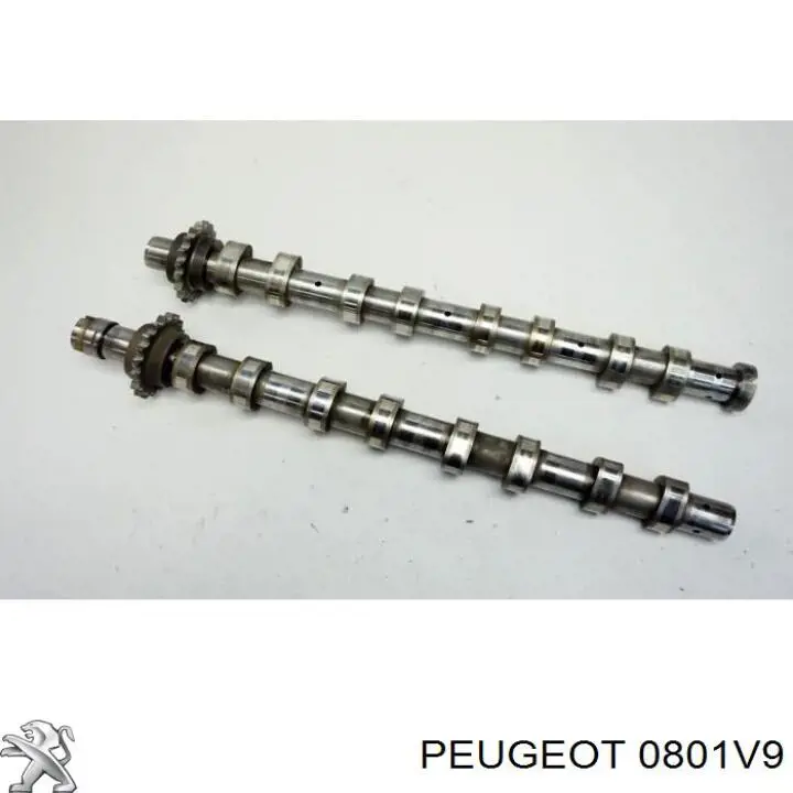 Впускной распредвал 0801V9 Peugeot/Citroen