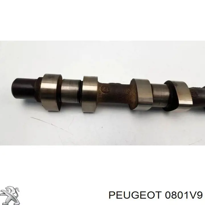 Впускной распредвал двигателя Peugeot/Citroen 0801V9