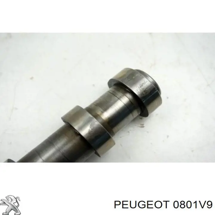 0801V9 Peugeot/Citroen Распредвал двигателя, впускной