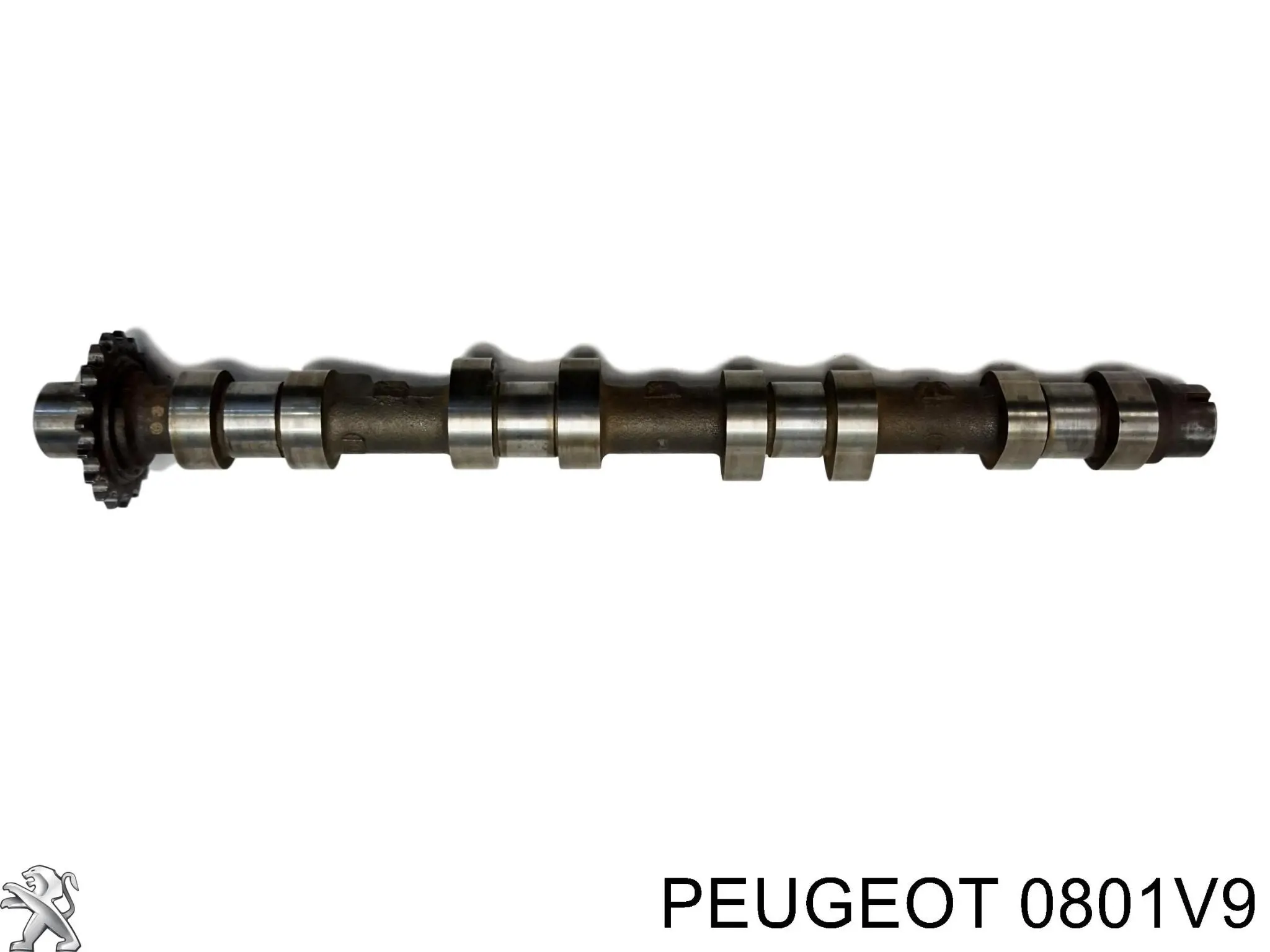 0801V9 Peugeot/Citroen распредвал двигателя впускной